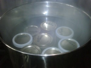 jars in canner