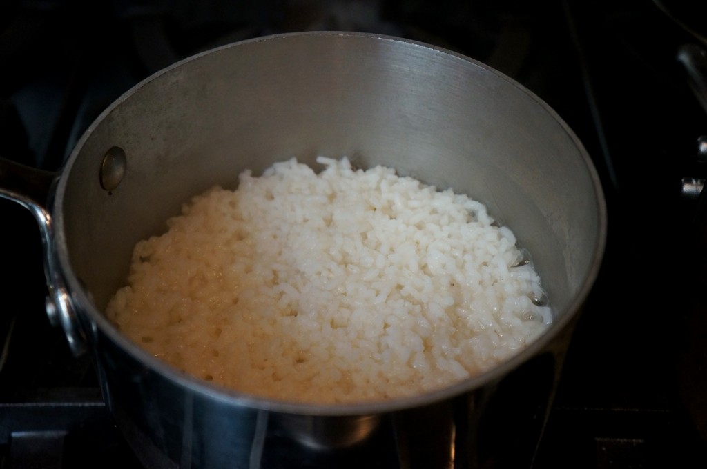 Stewed Chicken with Charred Tomatillos and Coconut Rice « Culinary ...